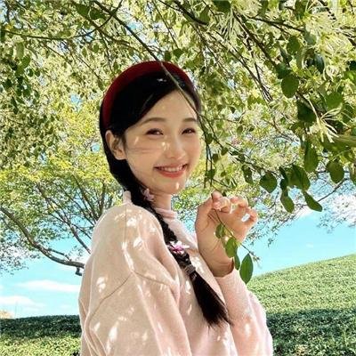 加奈日记 海报